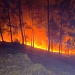 बढ़ती गर्मी के साथ विकराल रूप धारण करने लगी जंगलों की आग