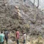 नागनाथ रेंज में जंगलों में आग लगने से वन संपदा को भारी नुकसान