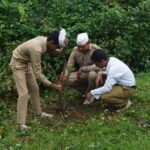 वननेस वन-प्रकृति के साथ समरसताः हरित भविष्य की ओर संत निरंकारी मिशन का जन आंदोलन  